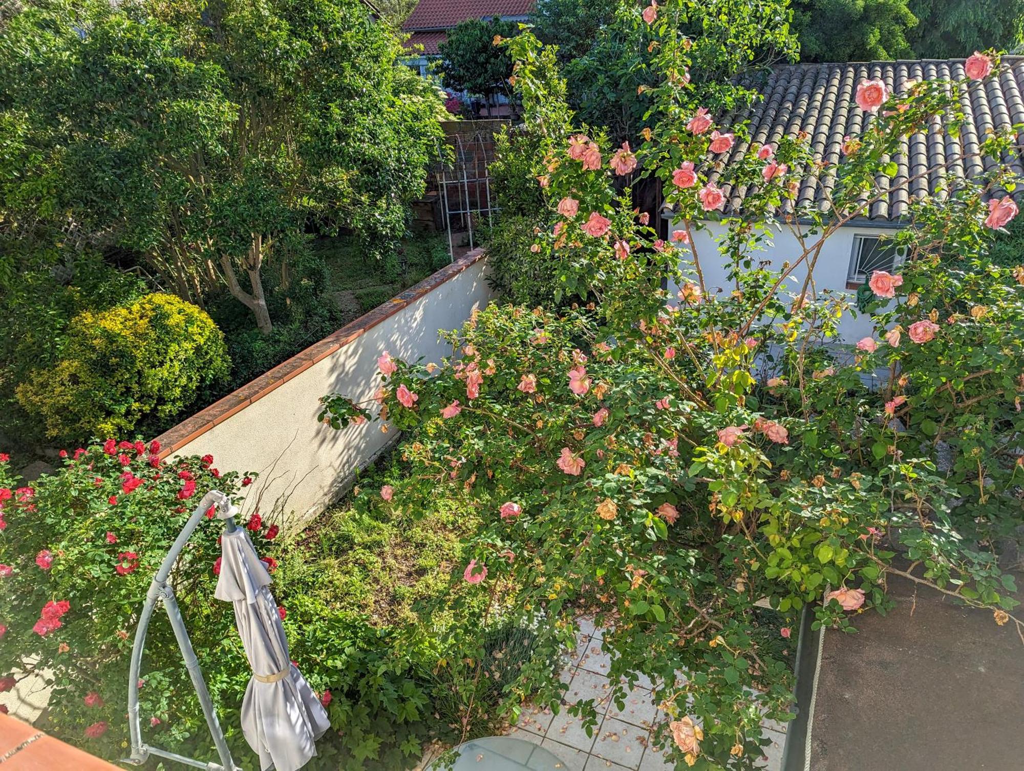 La Maison Calme Et Lumineuse Avec Jardin Toulouse Buitenkant foto